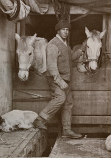 'Captain Oates and Ponies on the 'Terra Nova'', c1910-1912, (1913). Creator: Herbert Ponting.
