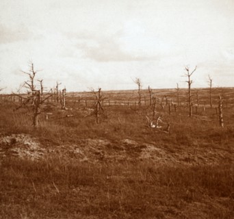 Battlefield, Tahure, northern France, c1914-c1918. Artist: Unknown.