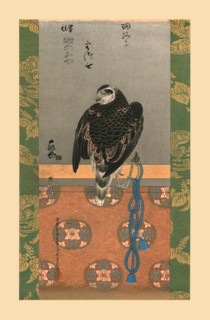 Falcon, c1790, (1886).  Artist: Wilhelm Greve.