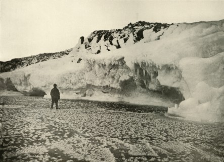 'Ice Flowers on Newly Formed Sea Ice Early in the Winter', c1908, (1909).  Artist: Unknown.