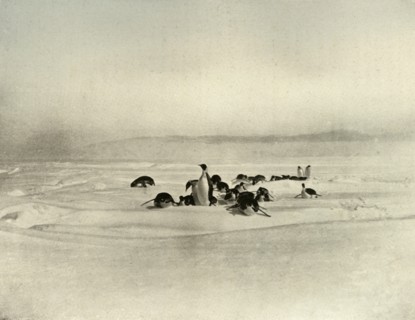 'Emperors Tobogganning', c1908, (1909). Artist: Unknown.