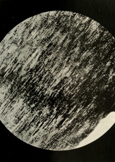 'Fossil Wood in Sandstone, from a Moraine in Latitude 85° South', c1908, (1909).  Artist: Unknown.