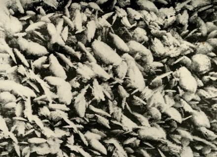 'Ice Crystals on roof of the Hut Porch', c1908, (1909). Artist: Unknown.