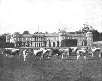 Goodwood, Hampshire, 1894. Creator: Unknown.