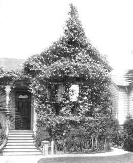 Rose Cottage, South Spring Street, Los Angeles, California, USA, c1900. Creator: Unknown.