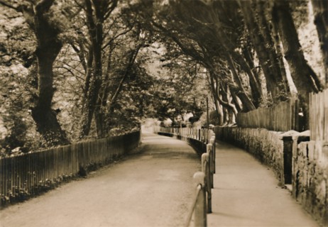 'Chine Avenue, Shanklin, I.W.', c1920. Creator: Unknown.