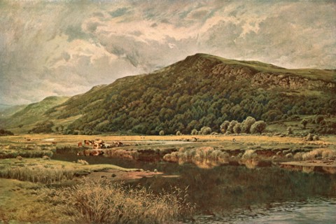 'Nature's Mirror', 1882, (c1902). Creator: Unknown.