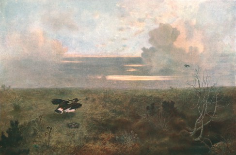 'Disturbed: A Plover Rising from Its Nest, 1879, (c1902).  Creator: Unknown.