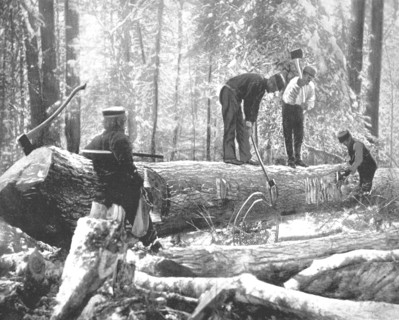 Lumbering on the Ottawa River, Canada, c1900.  Creator: Unknown.