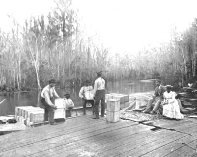 Loading oranges on the Ocklawaha River, Florida, USA, c1900. Creator: Unknown.