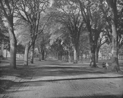 'The Elms', New Haven, Connecticut, USA, c1900.  Creator: Unknown.