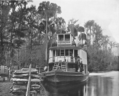 On the Ocklawaha River, Florida, USA, c1900. Creator: Unknown.