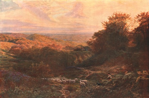'The Heart of Surrey', 1874, (c1902).   Creator: Unknown.