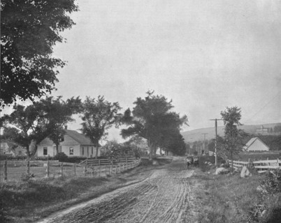 On the road to Echo Lake, White Mountains, New Hampshire, USA, c1900.  Creator: Unknown.