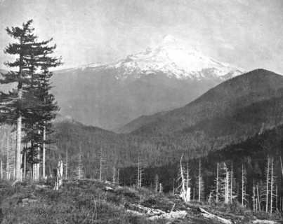 Mount Hood, Oregon, USA, c1900.  Creator: Unknown.