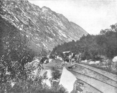 Cottonwood Canyon, Utah, USA, c1900.  Creator: Unknown.