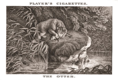 'The Otter', (1924). Creator: Unknown.