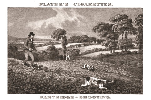 'Partridge-Shooting', (1924). Creator: Unknown.