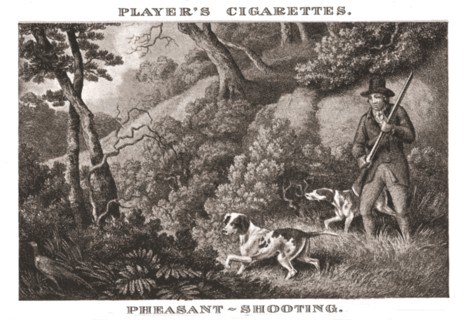 'Pheasant-Shooting', (1924). Creator: Unknown.