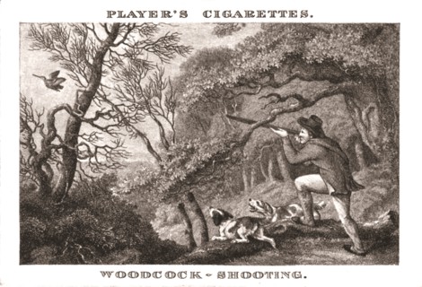 'Woodcock-Shooting', (1924). Creator: Unknown.
