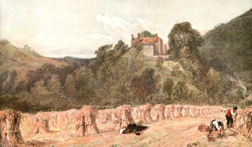 'A Cornfield', c1840s, (c1900).  Creator: Unknown.