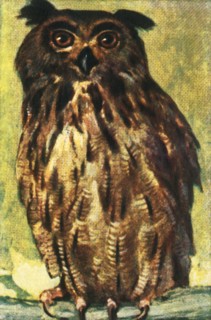 Eagle owl, c1928. Creator: Unknown.