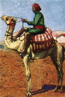 Post delivered by camel, Arabia, c1928. Creator: Unknown.