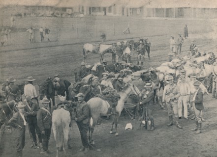 'Plumer's Horse', c1900. Creator: Unknown.