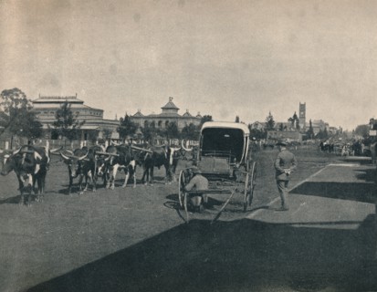 'Pietermaritzburg', c1900. Creator: Unknown.
