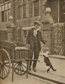 'One of the Best-Established Trades: A Customer and the Cats-Meat Man', c1935. Creator: Donald McLeish.