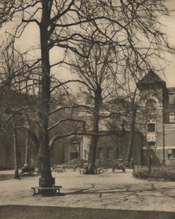 'Under the Elms in the Courtyard of Middlesex Hospital', c1935. Creator: Joel.