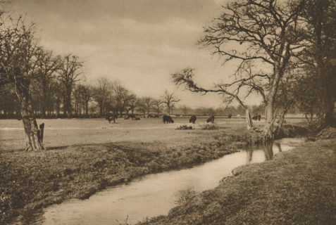 'Where Beverley Brook Winds Through The Royal Hunting Park of Richmond', c1935. Creator: Joel.