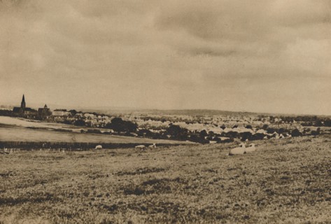 'Resting Sheep in the Pastures of North London: A View of Hampstead Garden Suburb', c1935. Creator: Langfier.