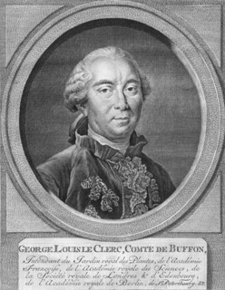 'George Louis Le Clerc, Comte De Buffon', 1774.  Creator: Jacobus Houbraken.