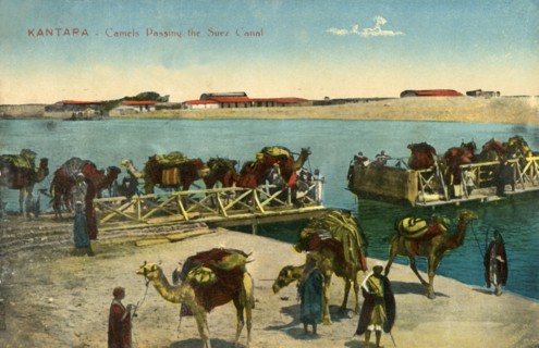'Kantara - Camels passing the Suez Canal', c1918-c1939. Creator: Unknown.