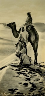 'Egypt - The Prayer in the Desert', c1918-c1939. Creator: Unknown.