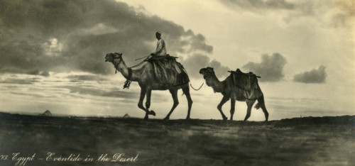 'Egypt - Eventide in the Desert', c1918-c1939. Creator: Unknown.