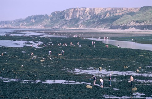 Beachcombers at Port-en-Bessin, Normandy, France.