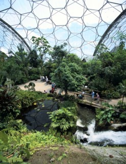 Inside the Humid Tropics Biome, Eden Project, Cornwall
