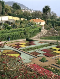 Botanical gardens, Funchal, Madeira, Portugal