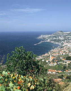 Panorama, Funchal, Madeira, Portugal