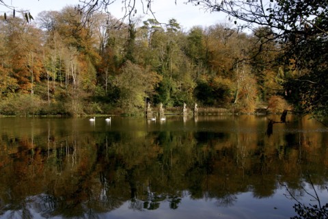 Fonthill Estate lake, Wiltshire, 2005