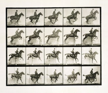 Man and horse jumping a fence, 1887 Artist: Eadweard J Muybridge