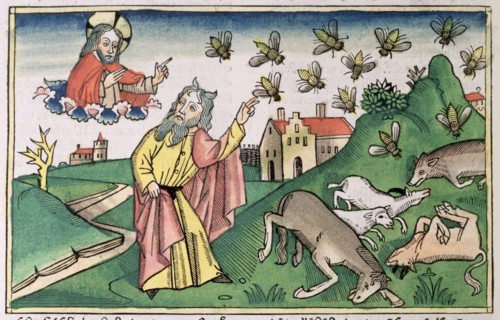Exodus 8:20-32: Moses and the swarm of flies, one of the Seven Plagues of Egypt. Artist: Unknown