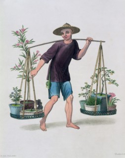 'A Porter with Fruit Trees and Flowers', China, 1800. Artist: J Dadley