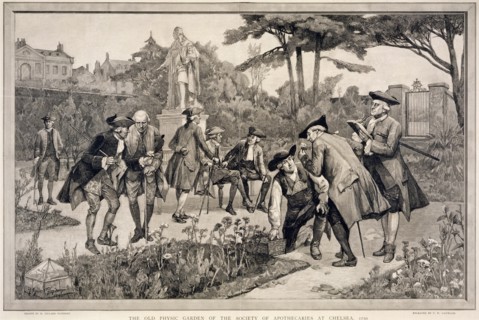 'The Old Physic Garden of the Society of Apothecaries at Chelsea, 1750', 1890. Artist: Thomas W Lascelles
