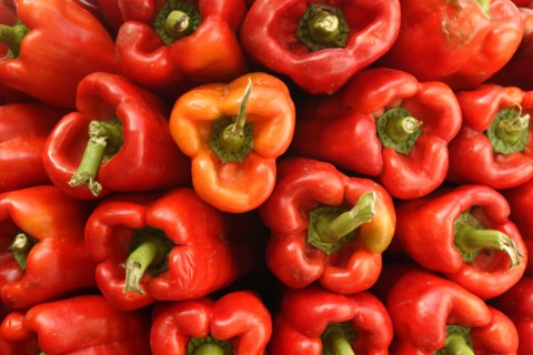 Red peppers in a market, Mallorca, Spain.