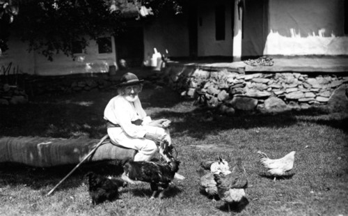 Old man feeding chickens, Bistrita Valley, Moldavia, north-east Romania, c1920-c1945. Artist: Adolph Chevalier