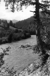 Floating tree trunks down the river, Bistrita Valley, Moldavia, north-east Romania, c1920-c1945. Artist: Adolph Chevalier
