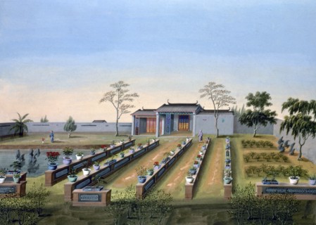 Nursery garden, China, c1820-1840. Artist: Unknown